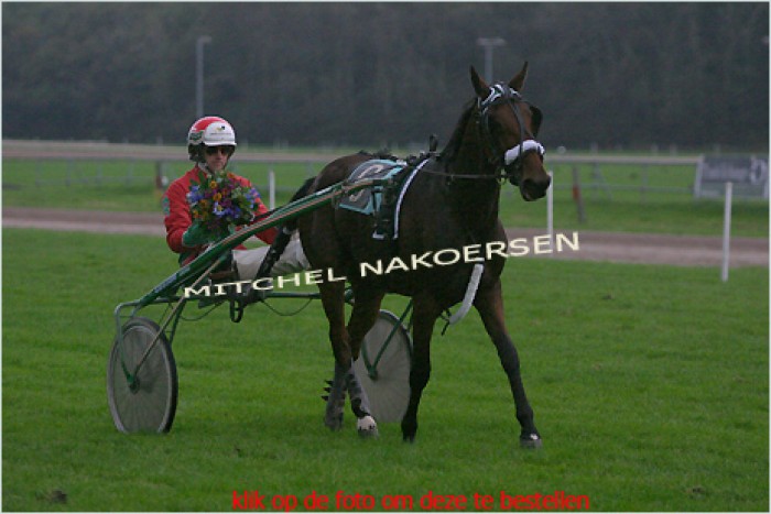 Andale de Muze wins in Holland