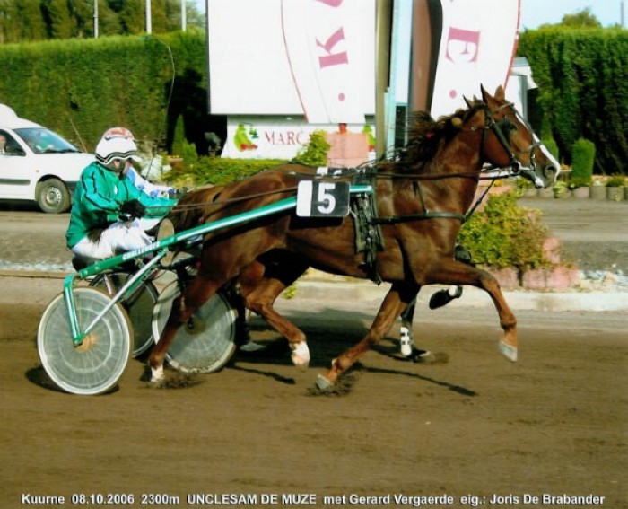 Course Mons (Belgium)