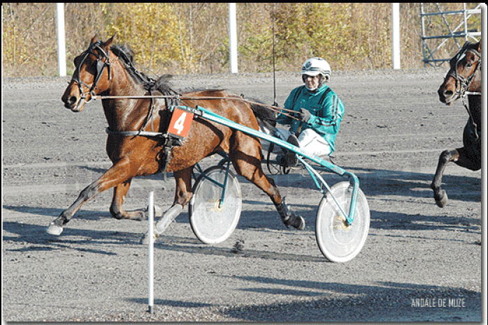 Course Waregem (Belgium)