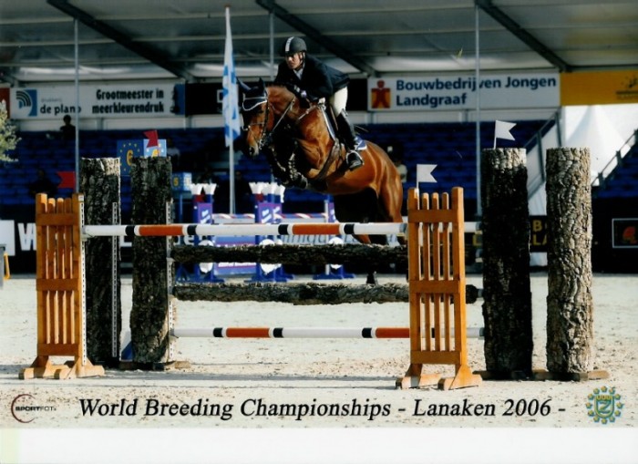 Walnut de Muze sold to Eurohorse & Stal De Dendrons