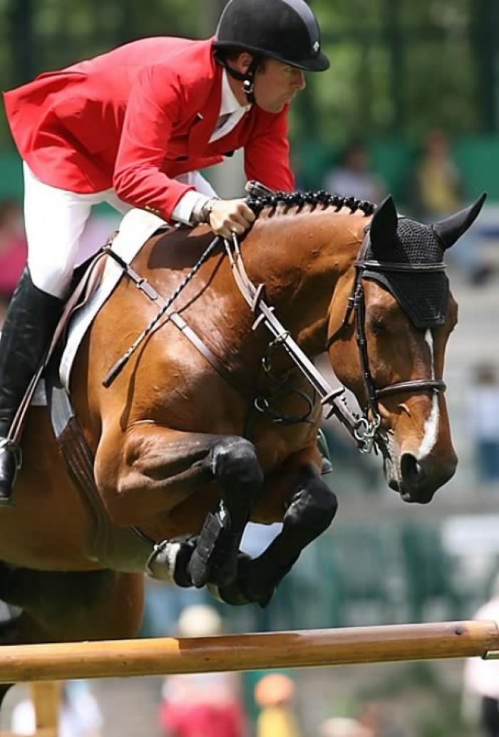 CSIO***** LA BAULE (FRANKRIJK)