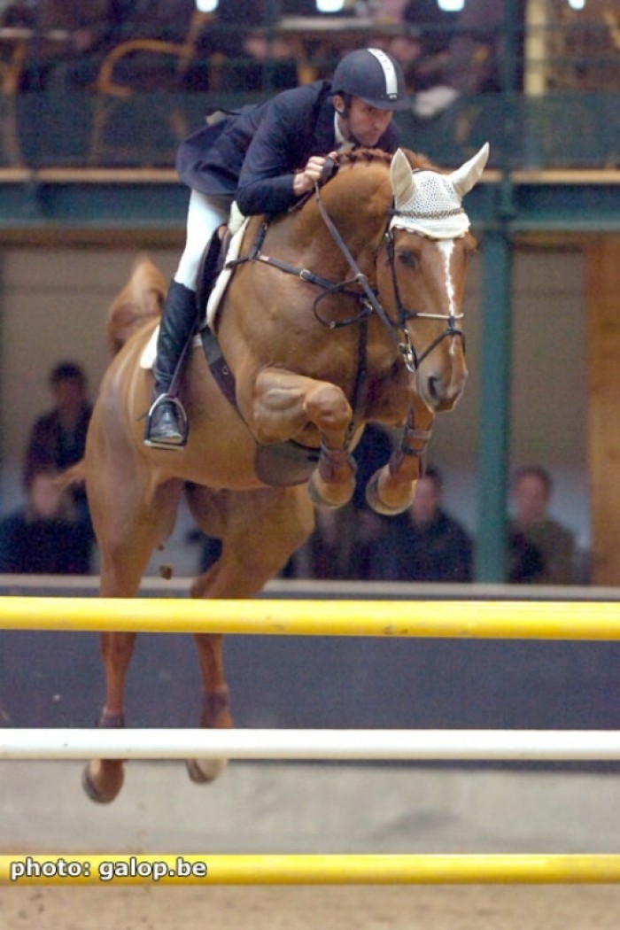 CSI*** VICHY (FRA) (11-13/7/2008)