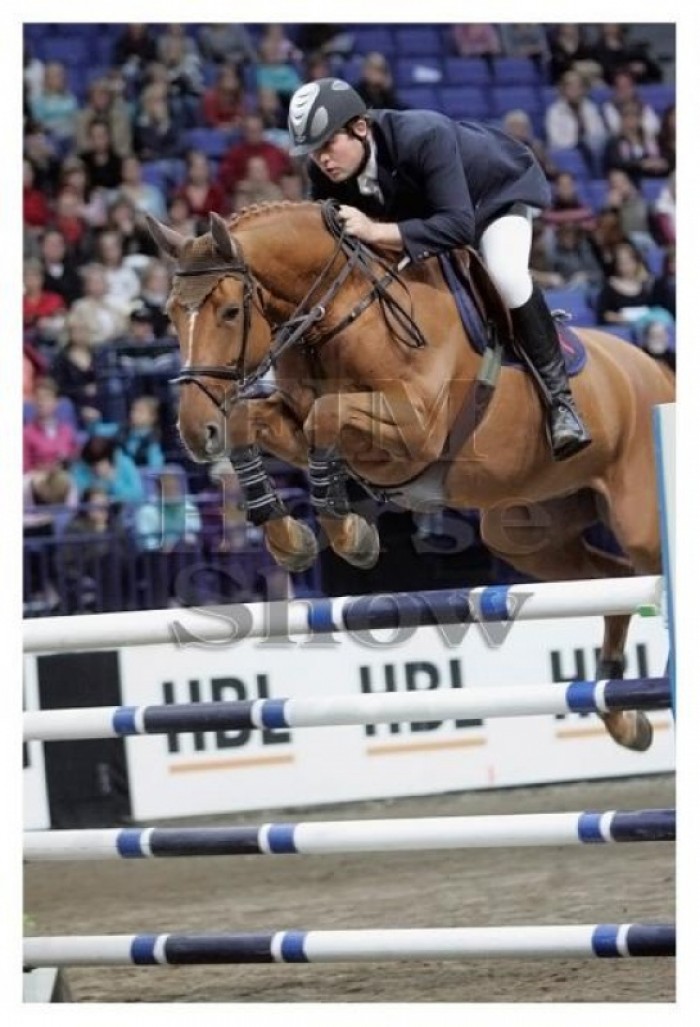 Wereldkampioenschap Jonge Paarden te Lanaken - 18-21/9/2008