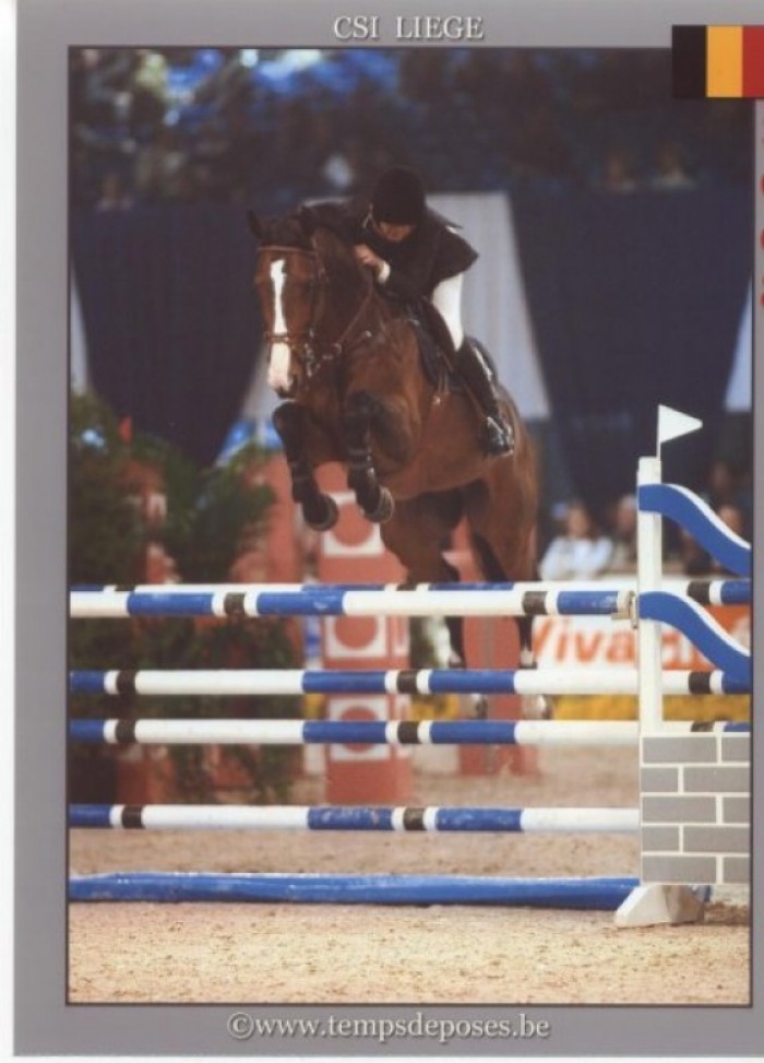 CSI* LUIK (7-11/10/2008)