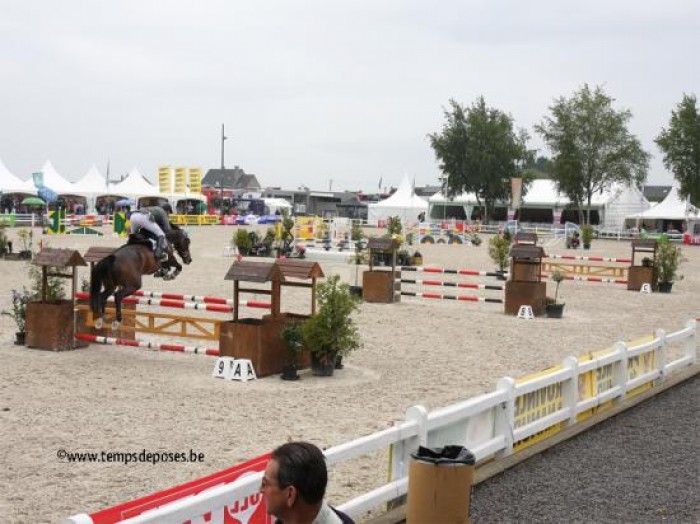 Belgian championships Young Horses Gesves