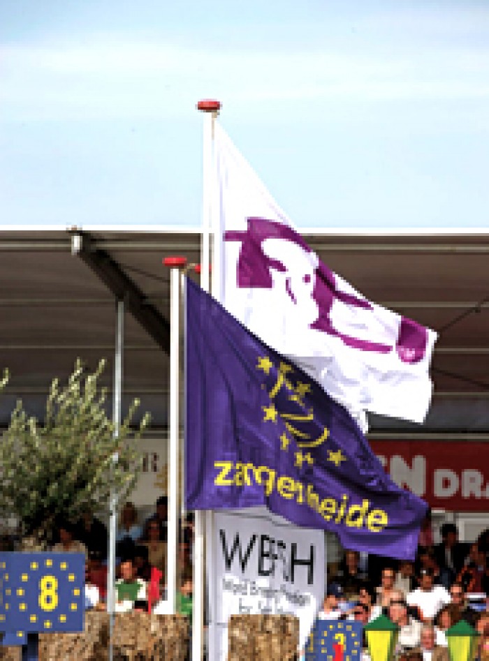 WK JONGE PAARDEN ZANGERSHEIDE