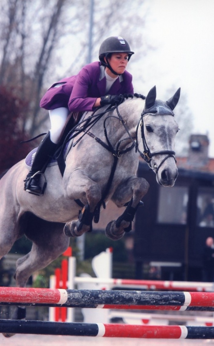 FINALE JONGE PAARDEN HULSTERLO