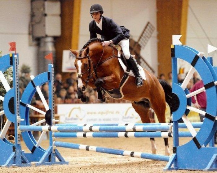 Halifax de Laubry (V: Chin Chin) voortaan ter dekking bij Stal de Muze