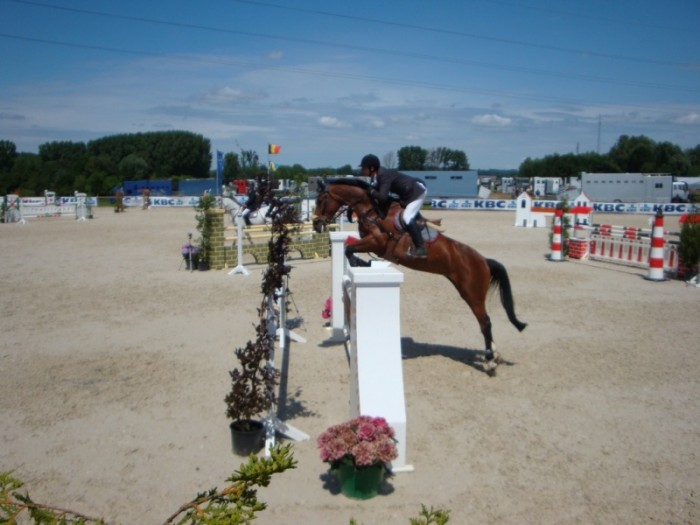 CYCLUS JONGE PAARDEN FLEMALLE (11-13/6/2010)