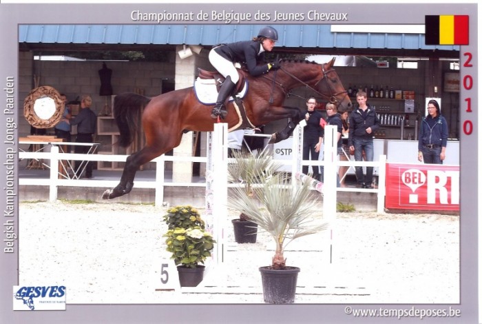 HENGSTENCOMPETITIE MOERZEKE (4/2/2011)