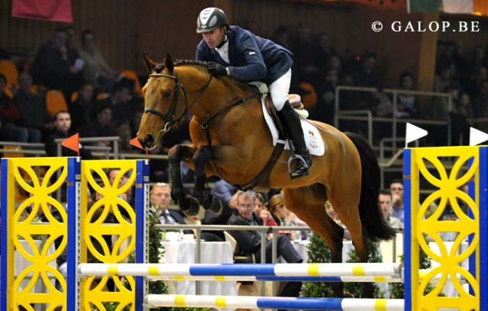 CYCLUS JONGE PAARDEN HULSTERLO