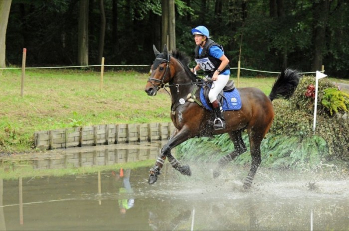 EVENTING KVB 6JARIGE PAARDEN WAREGEM