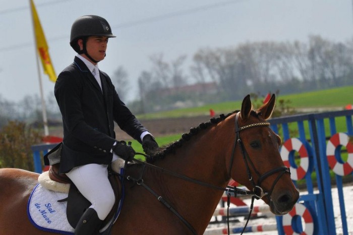 Cyclus jonge paarden Aalter