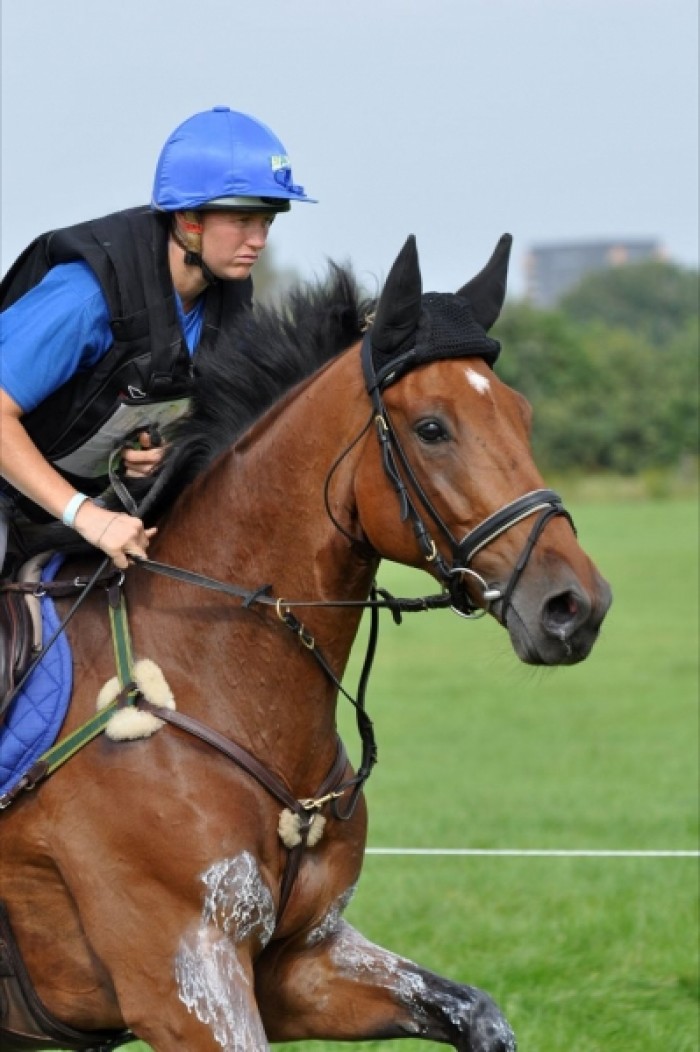 CIC3* HARAS DU PIN (Frankrijk)