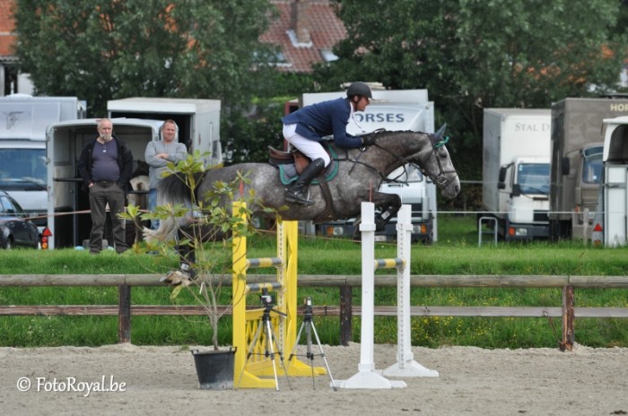 CYCLUS JONGE PAARDEN BASECLES