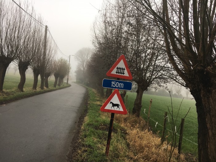 OP NAAR EEN PAARDVRIENDELIJKE STRAAT - MET DANK AAN DE STAD SINT-NIKLAAS