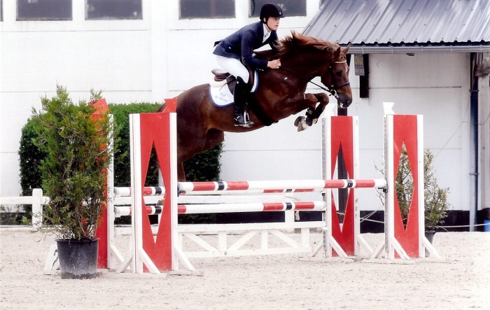 BK JONGE PAARDEN GESVES