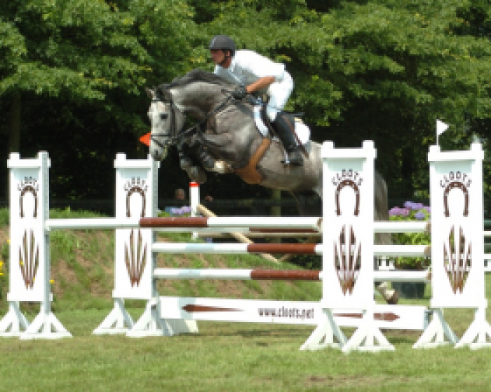 Malito de Reve opnieuw beschikbaar bij Stal de Muze.