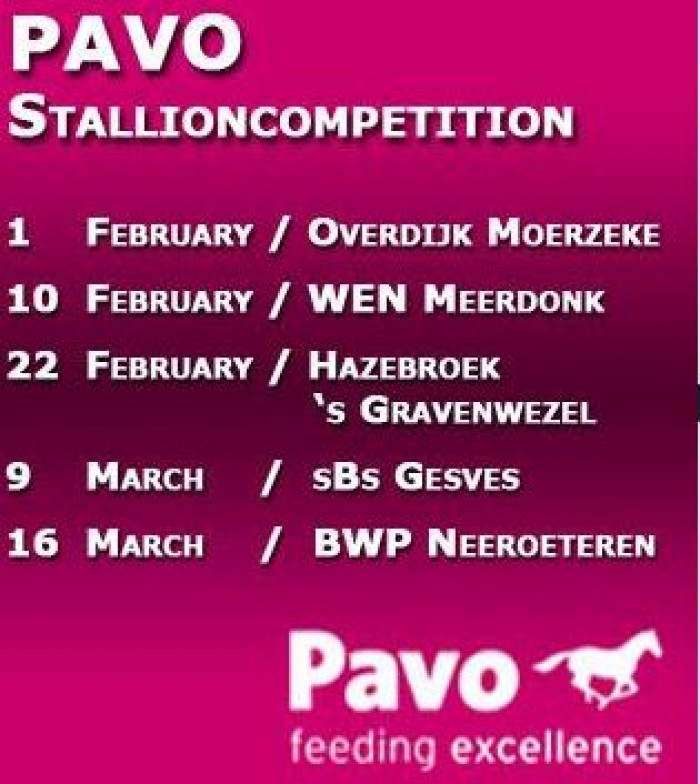 PAVO HENGSTENCOMPETITIE MOERZEKE