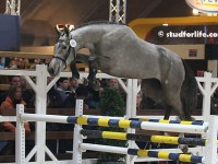 GENEVE DE MUZE EN CHRISTOPHE TWEEMAAL AAN DE WINST!