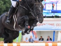 Six-year-old son of I’m Special de Muze Belgian champion