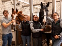 GEZOCHT : jong en gepassioneerde dierenarts (in spe) die ervaring wil opdoen in de equine voortplanting !