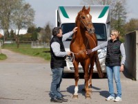 Vigo en Nabab leveren GP-winnaar