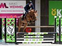 Geslaagde tweede manche Belgian Stallion Competition