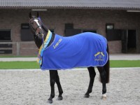 Breeding with Stal de Muze stallions remains possible