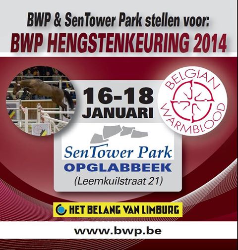 BWP hengstenkeuring