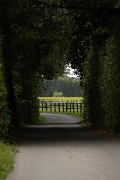 Vacature: Stal- en onderhoudsmedewerker