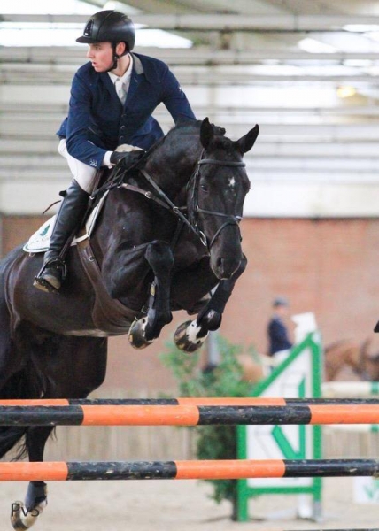 GMB competitie jonge paarden (Nederland)