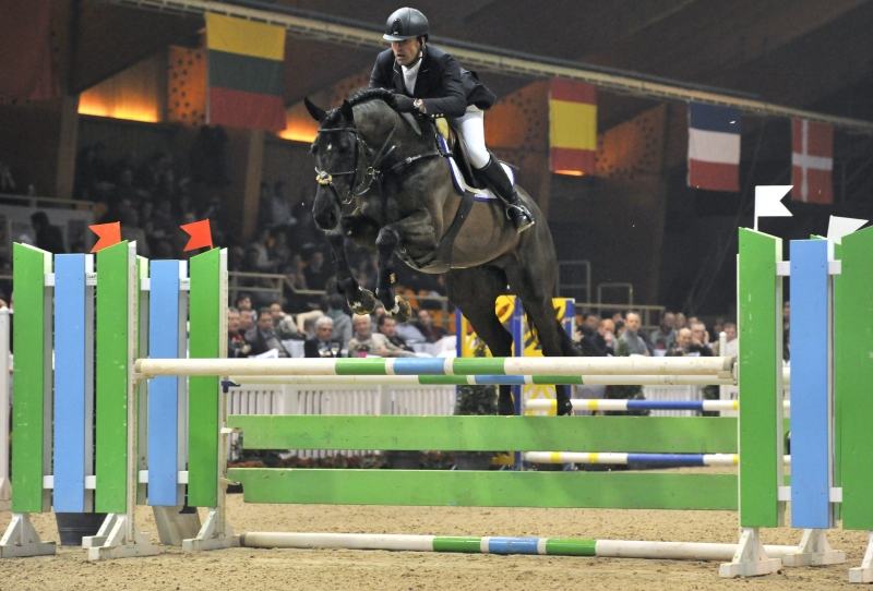 GMB competitie jonge paarden (Nederland)